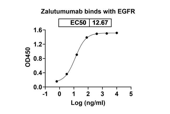 EGFR (Zalutumumab Biosimilar) Antibody in ELISA (ELISA)