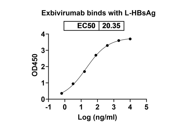 Exbivirumab Antibody in ELISA (ELISA)