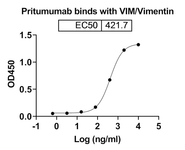 Vimentin (Pritumumab Biosimilar) Antibody in ELISA (ELISA)