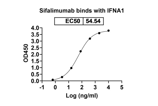 IFN alpha (Sifalimumab Biosimilar) Antibody in ELISA (ELISA)