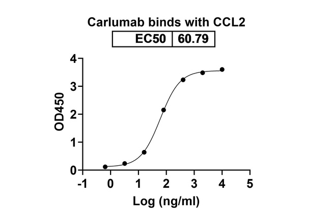 CCL2 (MCP-1) (Carlumab Biosimilar) Antibody in ELISA (ELISA)