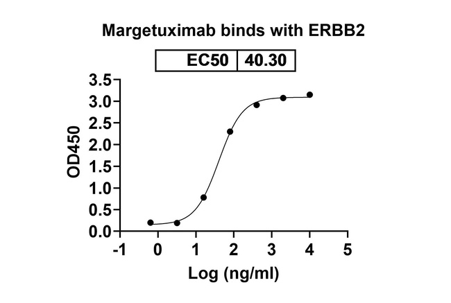 Her-2 (ErbB2) (Margetuximab Biosimilar) Antibody in ELISA (ELISA)
