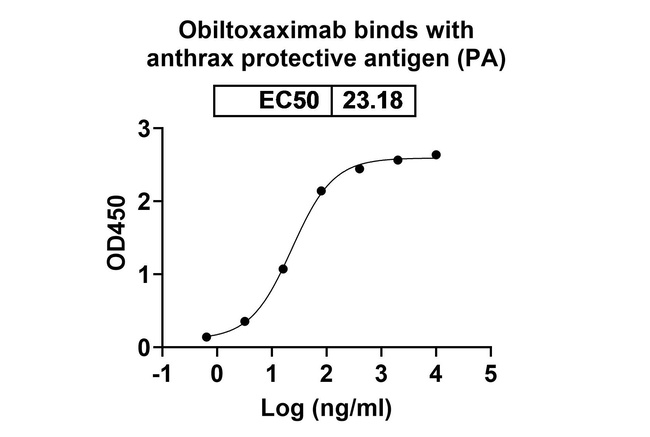 Obiltoxaximab Chimeric Antibody in ELISA (ELISA)
