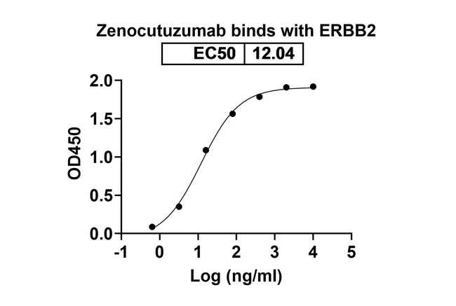 Her-2/Her-3 (Zenocutuzumab Biosimilar) Antibody in ELISA (ELISA)