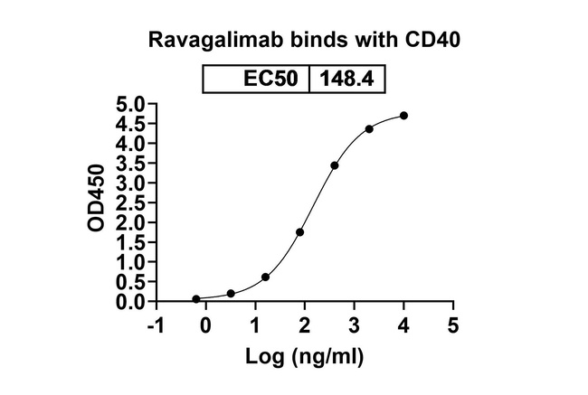 CD40 (Ravagalimab Biosimilar) Antibody in ELISA (ELISA)