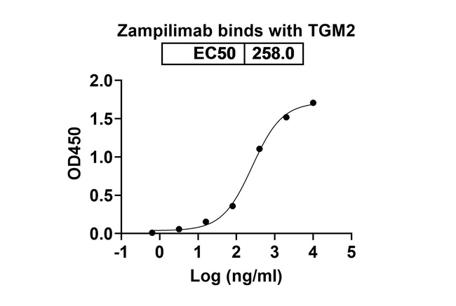 TGM2 (Zampilimab Biosimilar) Antibody in ELISA (ELISA)