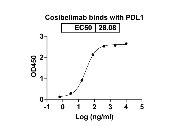 PD-L1 (CD274) (Cosibelimab Biosimilar) Antibody in ELISA (ELISA)