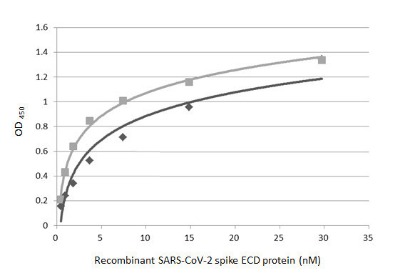 SARS-CoV-2 Spike Protein (RBD) Antibody in ELISA (ELISA)