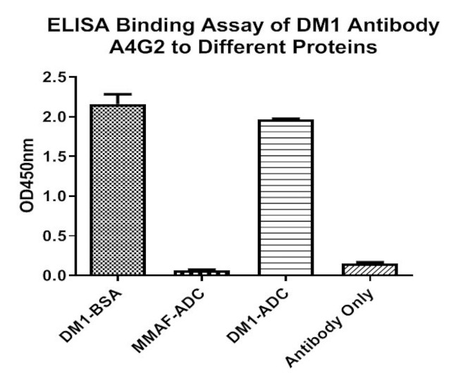 DM1 Antibody in ELISA (ELISA)