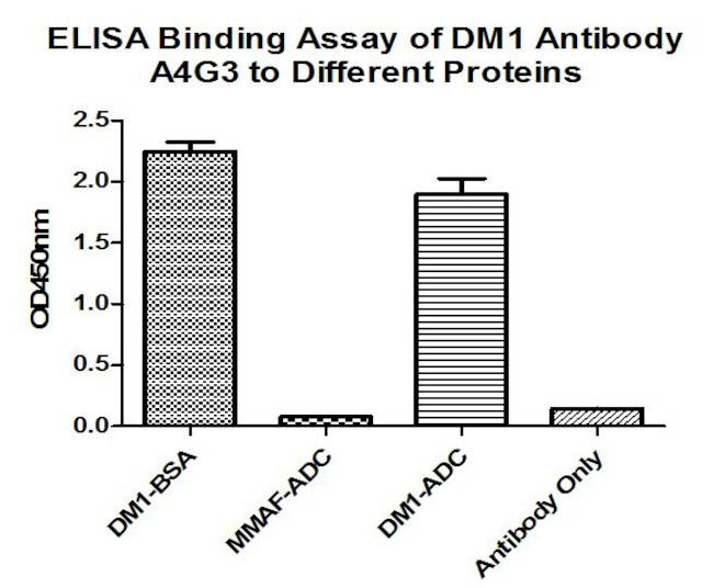 DM1 Antibody in ELISA (ELISA)