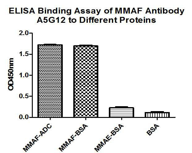 MMAF Antibody in ELISA (ELISA)