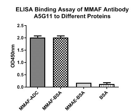MMAF Antibody in ELISA (ELISA)