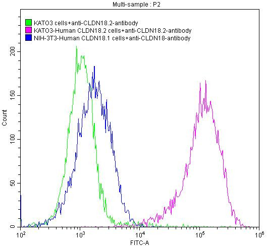 Claudin 18.2 Antibody in Flow Cytometry (Flow)