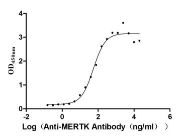 MERTK Antibody in ELISA (ELISA)