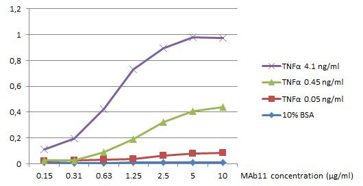 TNF alpha Antibody in ELISA (ELISA)