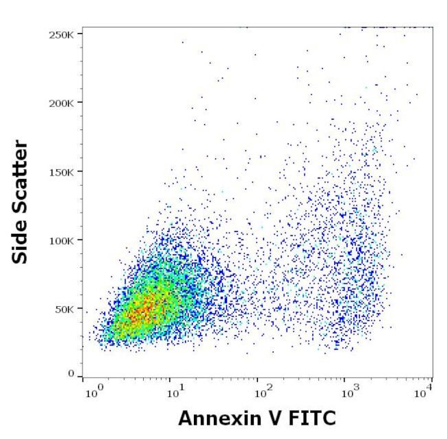 TRAIL Antibody in Flow Cytometry (Flow)