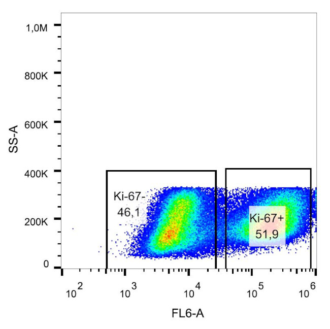 Ki-67 Antibody in Flow Cytometry (Flow)