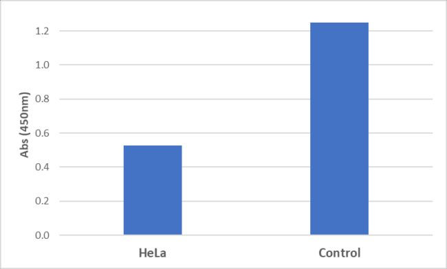 cGMP Antibody in ELISA (ELISA)