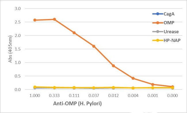 Helicobacter Pylori OMP Antibody in ELISA (ELISA)