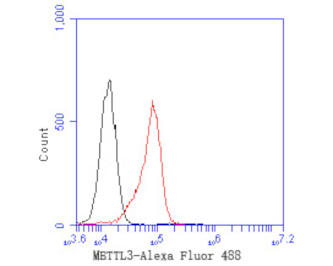 METTL3 Recombinant Monoclonal Antibody (JE58-20) (MA5-44918)