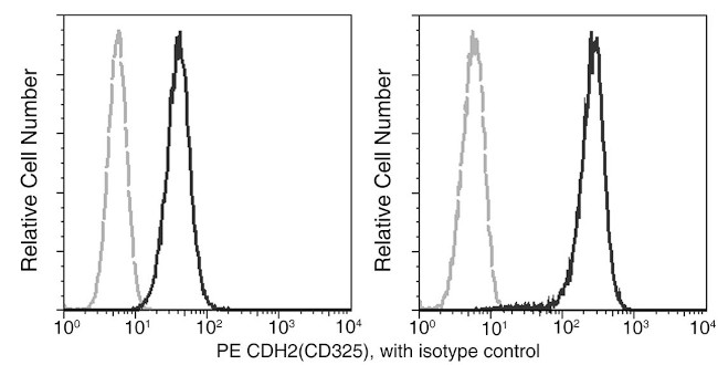 N-cadherin Antibody in Flow Cytometry (Flow)