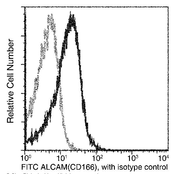 CD166 Antibody in Flow Cytometry (Flow)