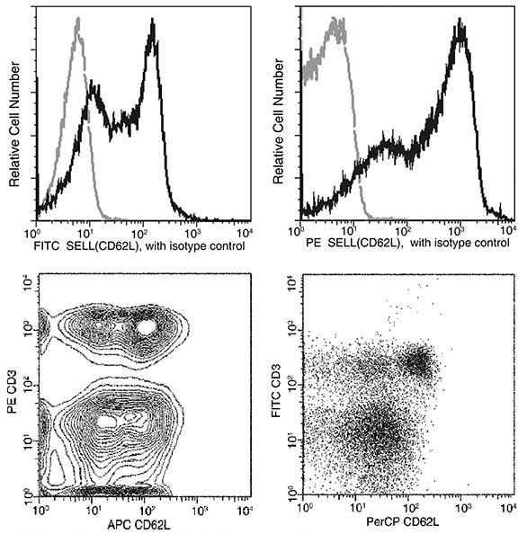 CD62L Antibody in Flow Cytometry (Flow)