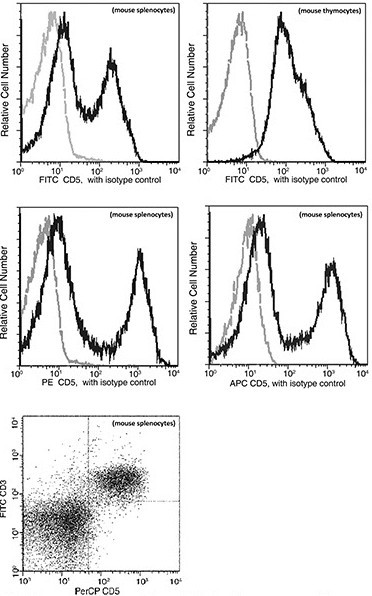 CD5 Antibody in Flow Cytometry (Flow)