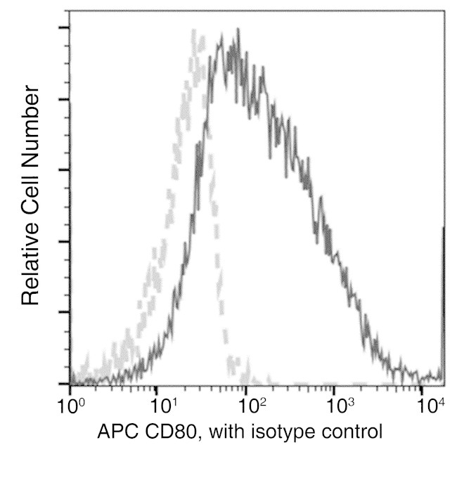 CD80 Antibody in Flow Cytometry (Flow)