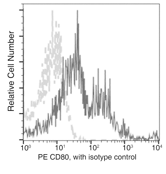 CD80 Antibody in Flow Cytometry (Flow)