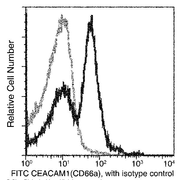 CEACAM1 Antibody in Flow Cytometry (Flow)
