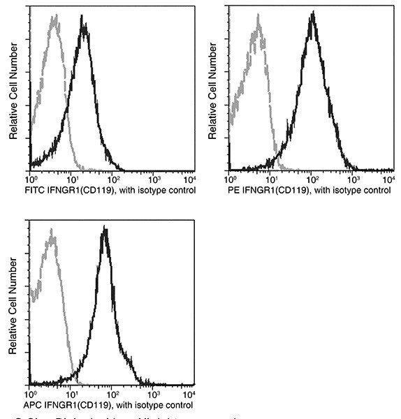 IFNGR1 Recombinant Monoclonal Antibody (062), FITC (MA5-46853)