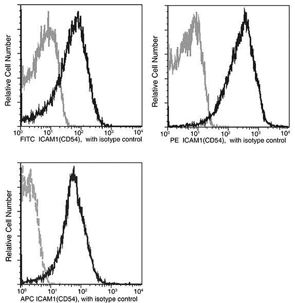 ICAM-1 Antibody in Flow Cytometry (Flow)