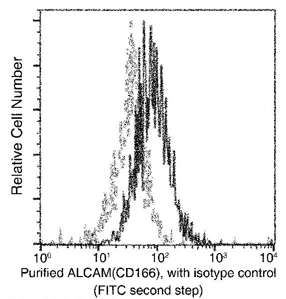 CD166 Antibody in Flow Cytometry (Flow)