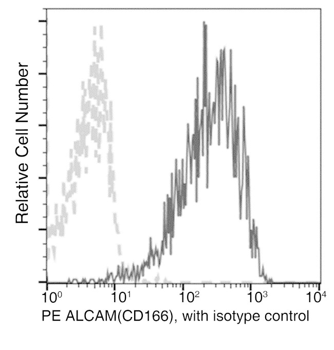 CD166 Antibody in Flow Cytometry (Flow)