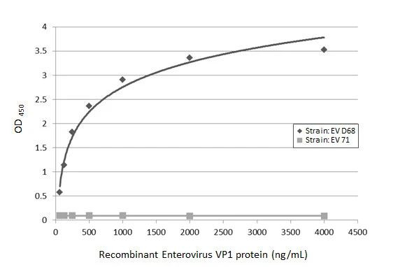 Enterovirus D68 VP1 Antibody in ELISA (ELISA)