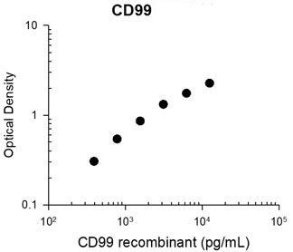 CD99 Antibody in ELISA (ELISA)