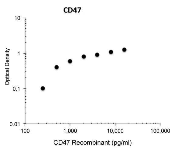 CD47 Antibody in ELISA (ELISA)