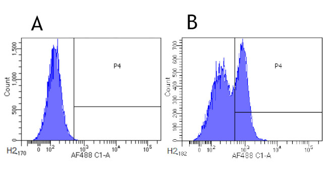 CD200R Chimeric Antibody in Flow Cytometry (Flow)
