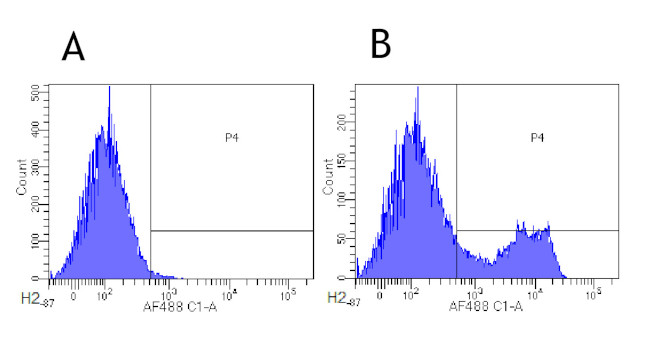 CD3e Chimeric Antibody in Flow Cytometry (Flow)