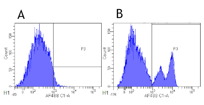 CD40 Chimeric Antibody in Flow Cytometry (Flow)