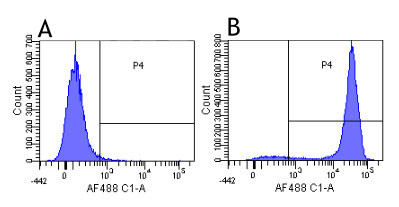 CD52 Chimeric Antibody in Flow Cytometry (Flow)