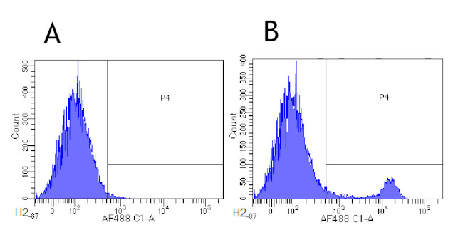 CD8a Chimeric Antibody in Flow Cytometry (Flow)