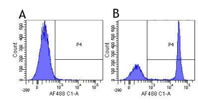 CD4 Chimeric Antibody in Flow Cytometry (Flow)