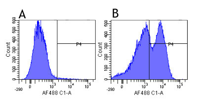 Integrin beta 1 (CD29) Chimeric Antibody in Flow Cytometry (Flow)