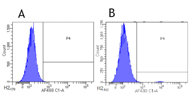 CCR3 Chimeric Antibody in Flow Cytometry (Flow)