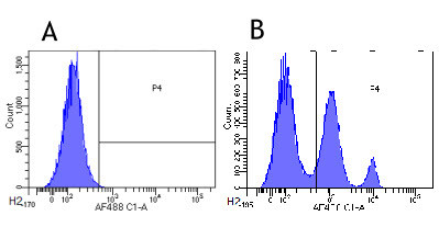 Gemtuzumab Chimeric Antibody in Flow Cytometry (Flow)