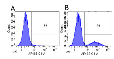 CD79a Chimeric Antibody in Flow Cytometry (Flow)