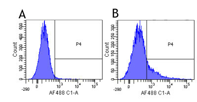 Ruplizumab Chimeric Antibody in Flow Cytometry (Flow)