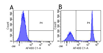 CD4 (Clenoliximab Biosimilar) Antibody in Flow Cytometry (Flow)